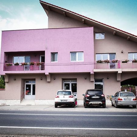 Pensiunea Oxana Lipova Exterior photo