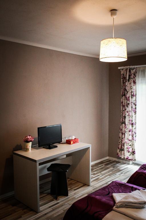 Pensiunea Oxana Lipova Room photo